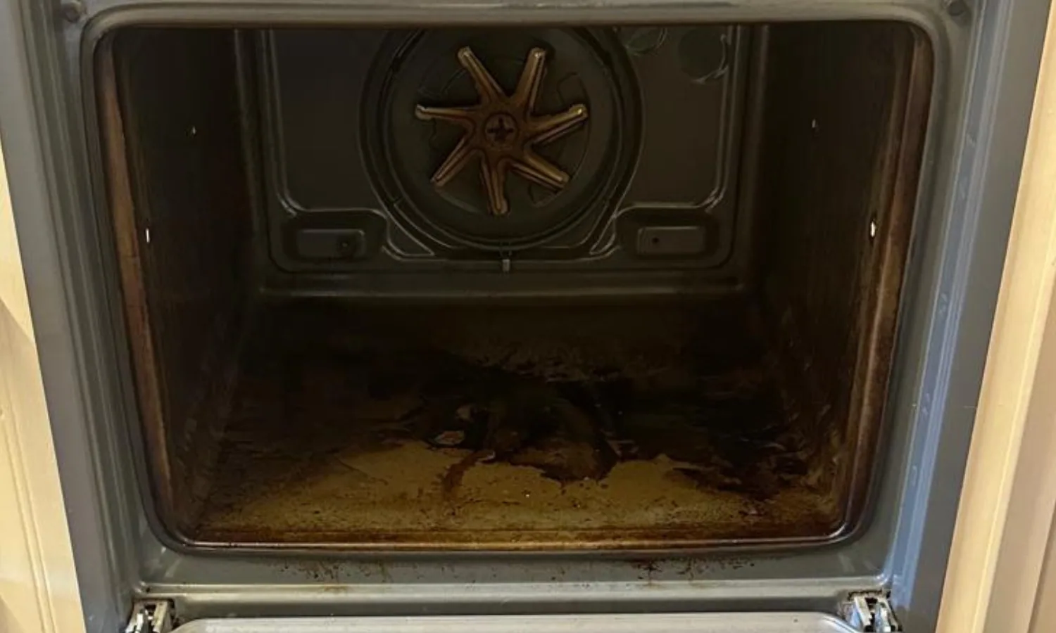 Oven interior before cleaning